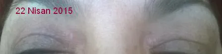 gozz2