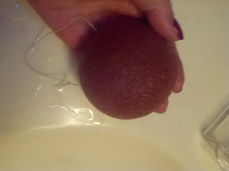 konjac2